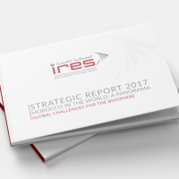 Annual strategic report 2017