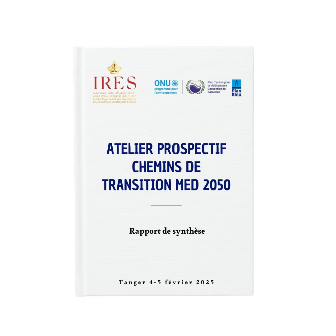 Rapport de synthèse : Atelier prospectif Chemins de transition MED 2050
